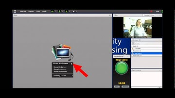 Adobe Connect Participant