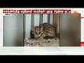 பாஜக கவுன்சிலர்கள் - மார்க்சிஸ்ட் கவுன்சிலர்கள் கைகலப்பு | BJP | CPI |  Sun News