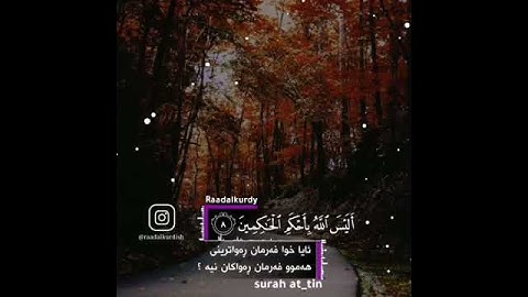 القارئ رعد الكردي سورة التين