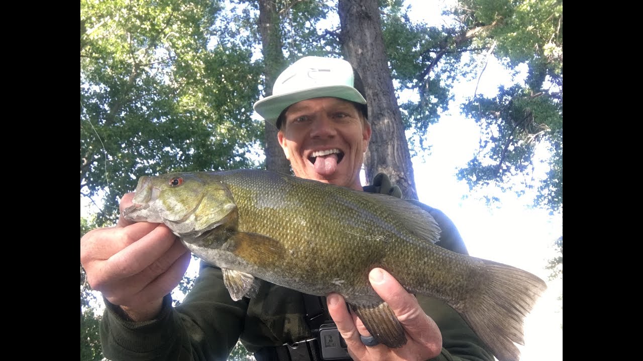 Echo Reservoir Fishing Smallmouth Bass! YouTube