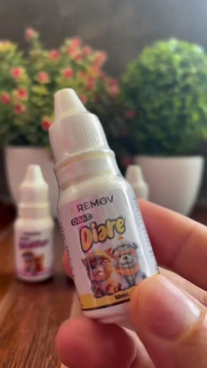 Bisa beli di link ini yah https://vt.tiktok.com/ZSrqDBVth/ #babukucing #cat #kucinglucubandung