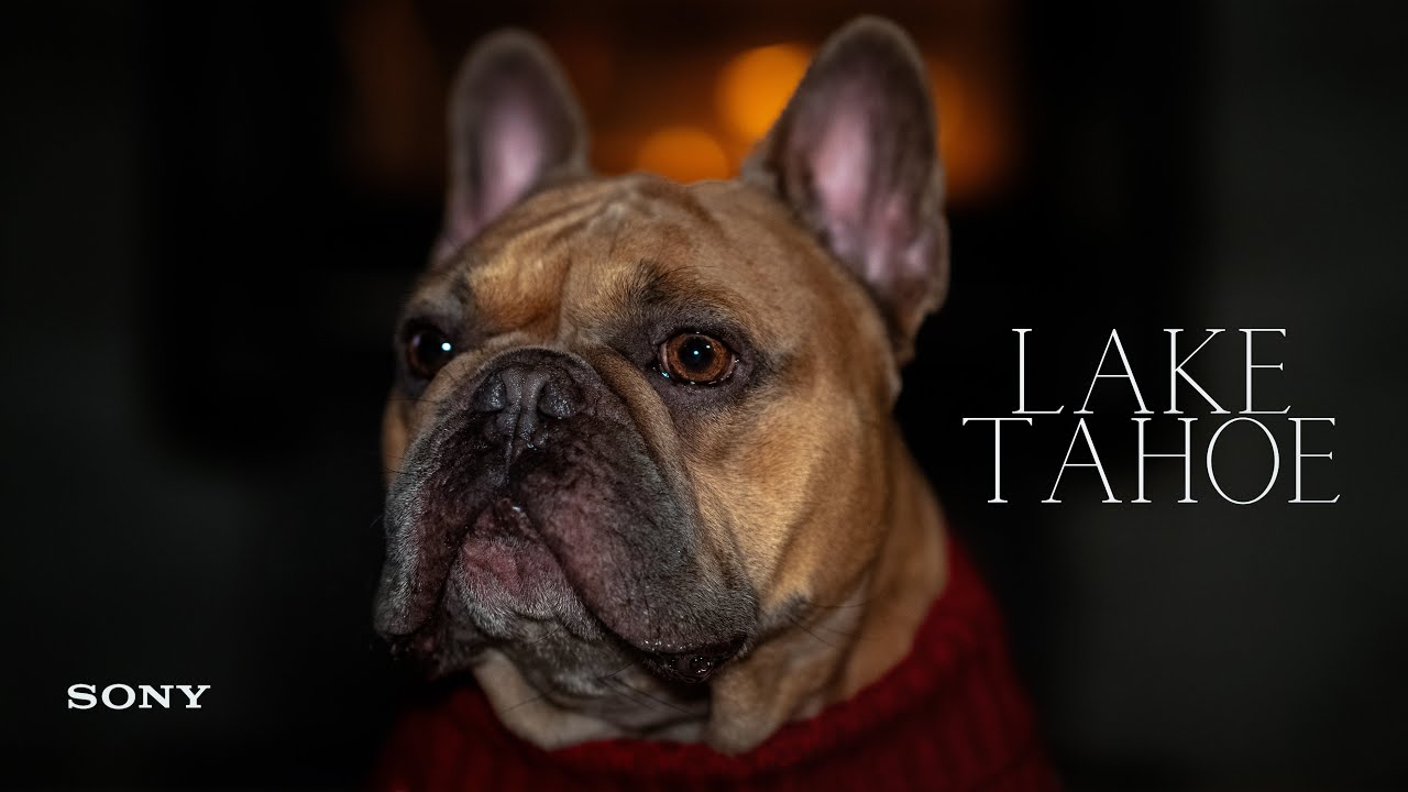 TAHOE | Little Moments | Sony FX6