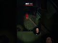 Aquí la prueba del delito! Alguien me salta encima y se lía parda en R.E.P.O.