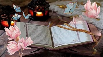 سورة الأنعام بصوت الشيخ حسن صالح.بدون اعلانات