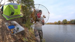 видео: РЫБЫ СТОЛЬКО, ХОТЬ РУКАМИ ЛОВИ. РЫБАЛКА С НОЧЁВКОЙ. ПОСТАВИЛ РАКОЛОВКИ. Ловля раков. Осенняя рыбалка картинка: РЫБЫ СТОЛЬКО, ХОТЬ РУКАМИ ЛОВИ. РЫБАЛКА С НОЧЁВКОЙ. ПОСТАВИЛ РАКОЛОВКИ. Ловля раков. Осенняя рыбалка