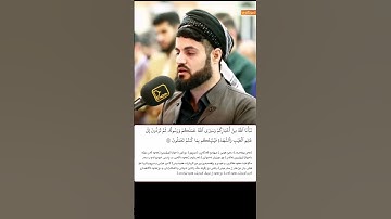 شيخ رعد الكردي حالات واتس اب | سورة (التوبة: ٩٤)