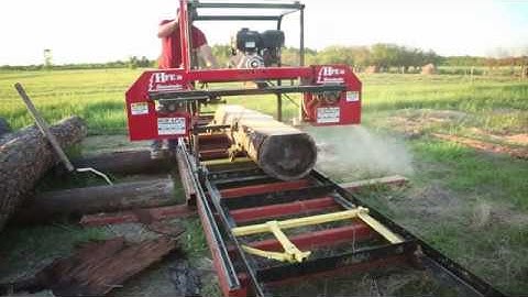 This Is What You Want To Find Inside A Log At The Sawmill