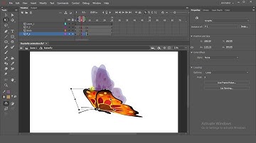 Butterfly Animation Tutorial In Flash and Animate 2019 for Beginners