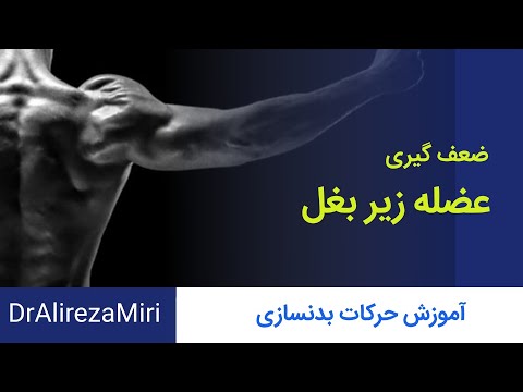 آموزش حرکات بدنسازی عضله زیر بغل فقط با بارفیکس