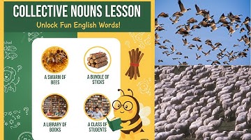 🔥Lesson 11: Collective Nouns!🔥🔥🔥