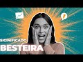 Qual Significado de Besteira? Qual Definição de Besteira? Sinônimo e Outras Informações de Besteira