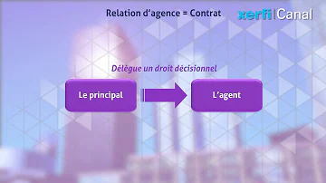 Qu'est-ce que la relation d'agence ?