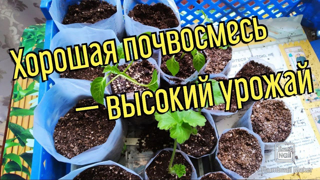 Создание почвосмеси