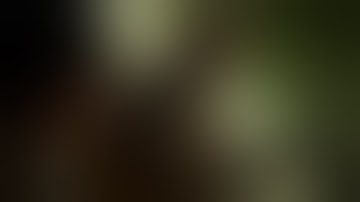 THE LAST OF US PART II — IMMERSIVE LET’S PLAY EPISODE 7 — NO COMMENTARY #4K #HDR