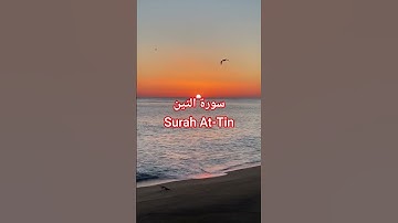 سورة التين Surah At-Tin |قرٱن كريم تلاوة خاشعة | #المصحف #اكسبلور #الشيخ #قرآن