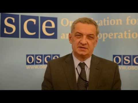 გიორგი ვოლსკის კომენტარი სერბეთის საპარლამენტო დელეგაციასთან შეხვედრის შესახებ