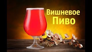 Вишневое пиво. Beermix Cherry. Вишневое пиво. Beermix Cherry.