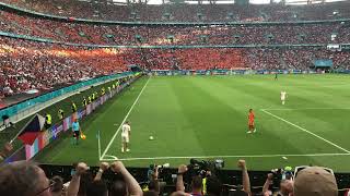 Tomas Holes goal against the Netherlands ( fans )