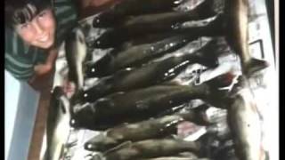 Walleye Management Plan in Lake Champlain