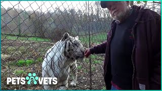 The Truth About Keeping Exotic Pets - Dangers, Laws and Real Stories