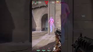 vfcnth\ | #gigglexas с помощью #Twitch