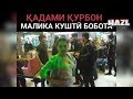 ЛУЧШИЕ ТАДЖИКСКИЕ ПРИКОЛЫ И ВАЙНЫ - 2019 #34 ВЫПУСК /ПРИКОЛИ ТОЧИКИ