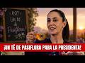 ¡Un té de pasiflora para la presidenta! Se la pasa enojada y se le cruzan los cables