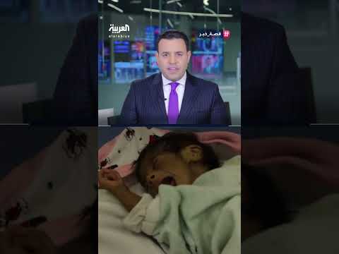 دعوات دولية لوقف الحرب في غزة وإدانة مقتل المدنيين