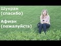 Об арабской культуре и особенностях арабского языка