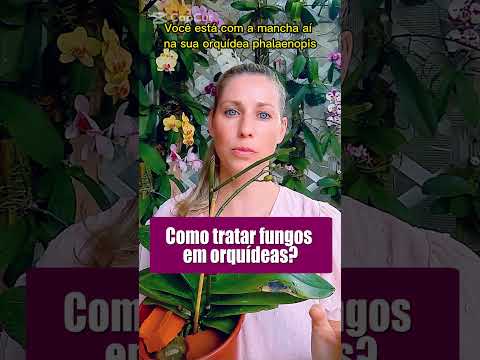 Vídeo: Tratamento de ácaros de bulbo - Aprenda a se livrar de ácaros de bulbo no jardim