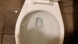 Rare Gerber Double Mounted Ultraflush