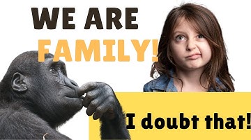 Did we originate from chimpanzees? of course ....!😆😍 #shorts