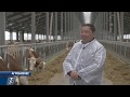 Какие инновации применяют на фермах казахстанские животноводы | Агробизнес