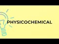 What is the meaning of the word PHYSICOCHEMICAL?