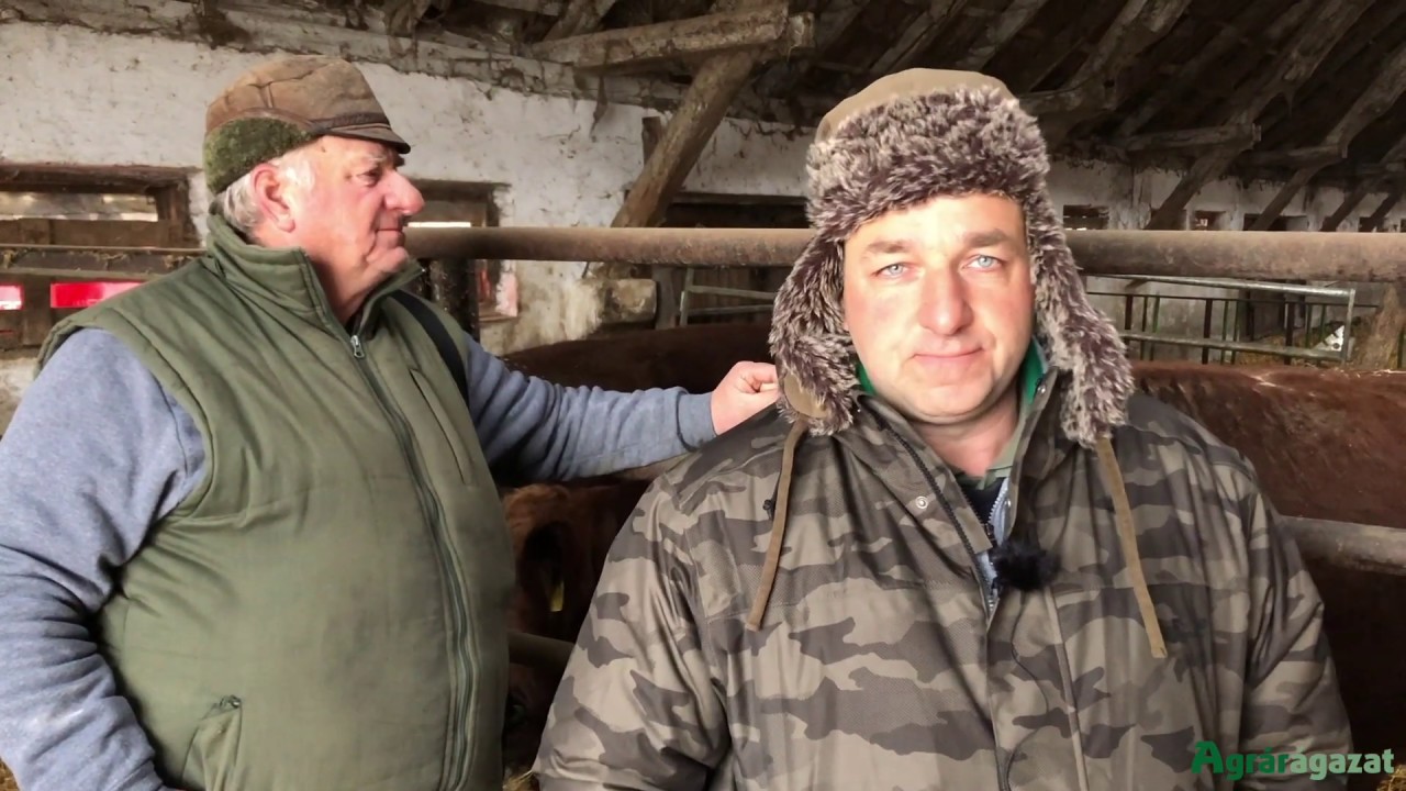 Így tartják az állataikat Gelencsérék, Dunavecsén