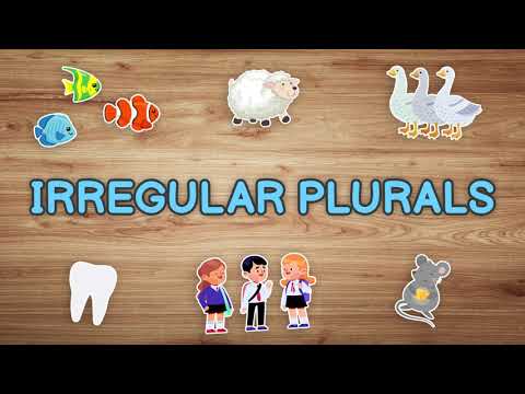 Grammar Tutorial - Irregular Plurals