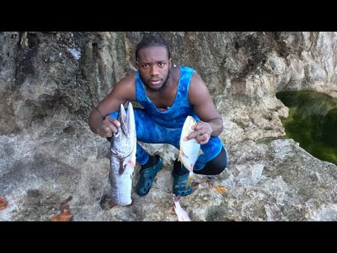 2 Day Epic Barracuda Hunting #viral #mustwatch