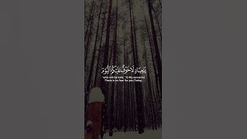 الْأَخِلَّاءُ يَوْمَن بَعْضُهُمْ لِبَعْضٍ القارئ  للشيخ ماهر المعيقلي