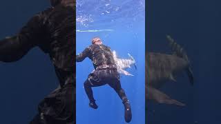 @stackz954  Handling sharks #onlyinflorida