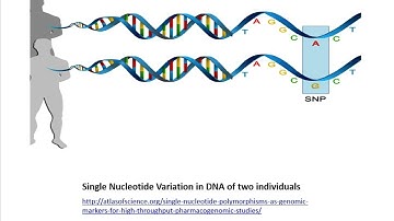 Difference between SNV & SNP 1 29 2024 11 34 38 AM