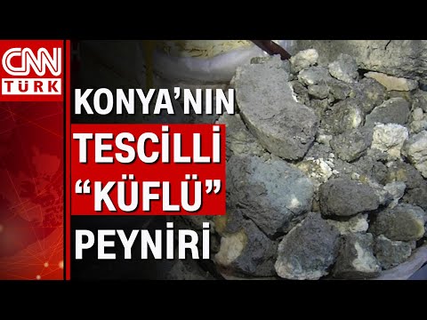 Küflü peynir sağlığa zararlı mı?