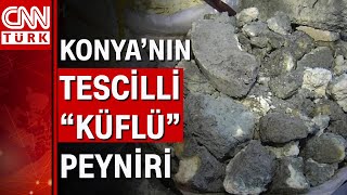 Küflü peynir sağlığa zararlı mı? Resimi