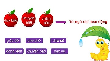 Từ chỉ hoạt động, từ chỉ tình cảm   Câu kiểu Ai thế nào
