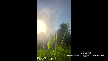(إن تعذبهم فإنهم عبادك) من سورة المائده