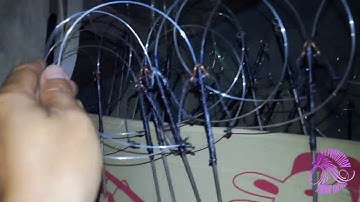 khoom cuab qaib qus- cuab qaib qus-qaib qus-qaib dib cuab qaib qus