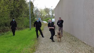 Turn And Face The Wall And Put Your Hands Behind Your Back! 🐕👮‍♂️🎥😱❌