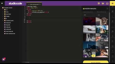 Importando um CDN do Animate.css com um Placeholder e aplicando animação.