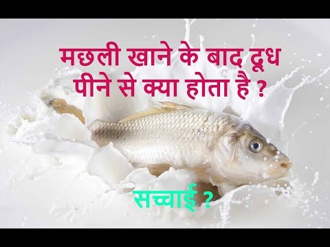 वीडियो: मछली का दूध क्यों उपयोगी है?