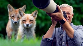 Approach \& photograph wildlife (best camera settings!)