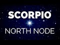 NORTH NODE IN SCORPIO, SOUTH NODE IN TAURUS | Karma & Past Lives | Hannah's Elsewhere